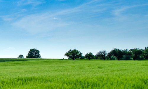 新鄉(xiāng)市醫(yī)森生物科技有限公司官網(wǎng)正式上線(xiàn)